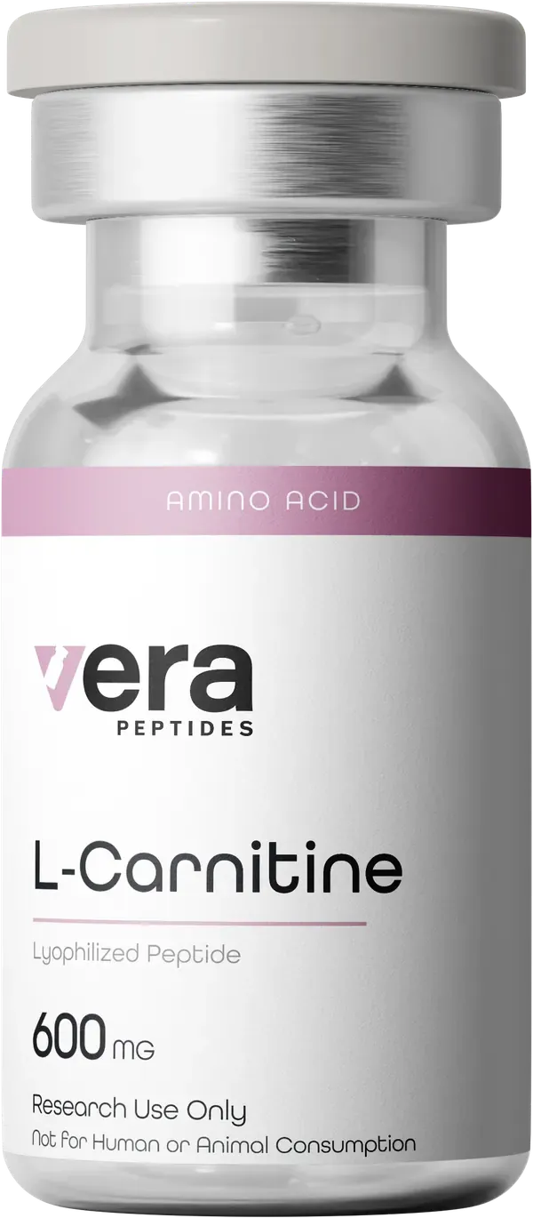 L-Carnitine 600 mg — research peptide vial